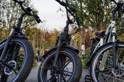 E-bikes