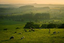 Managing the Small Family Farm