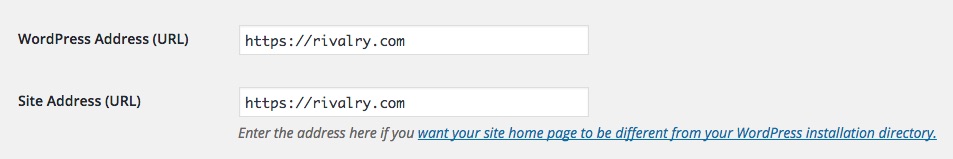 Update the URLS within WordPress